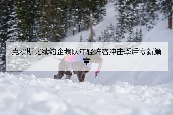 ke-luo-si-bi-xu-yue-qi-e-dui-nian-qing-zhen-rong-chong-ji-ji-hou-sai-xin-pian-zhang-2-498.jpg