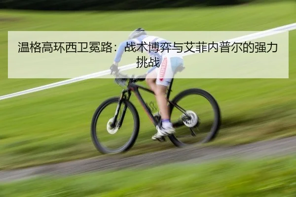 温格高环西卫冕路：战术博弈与艾菲内普尔的强力挑战